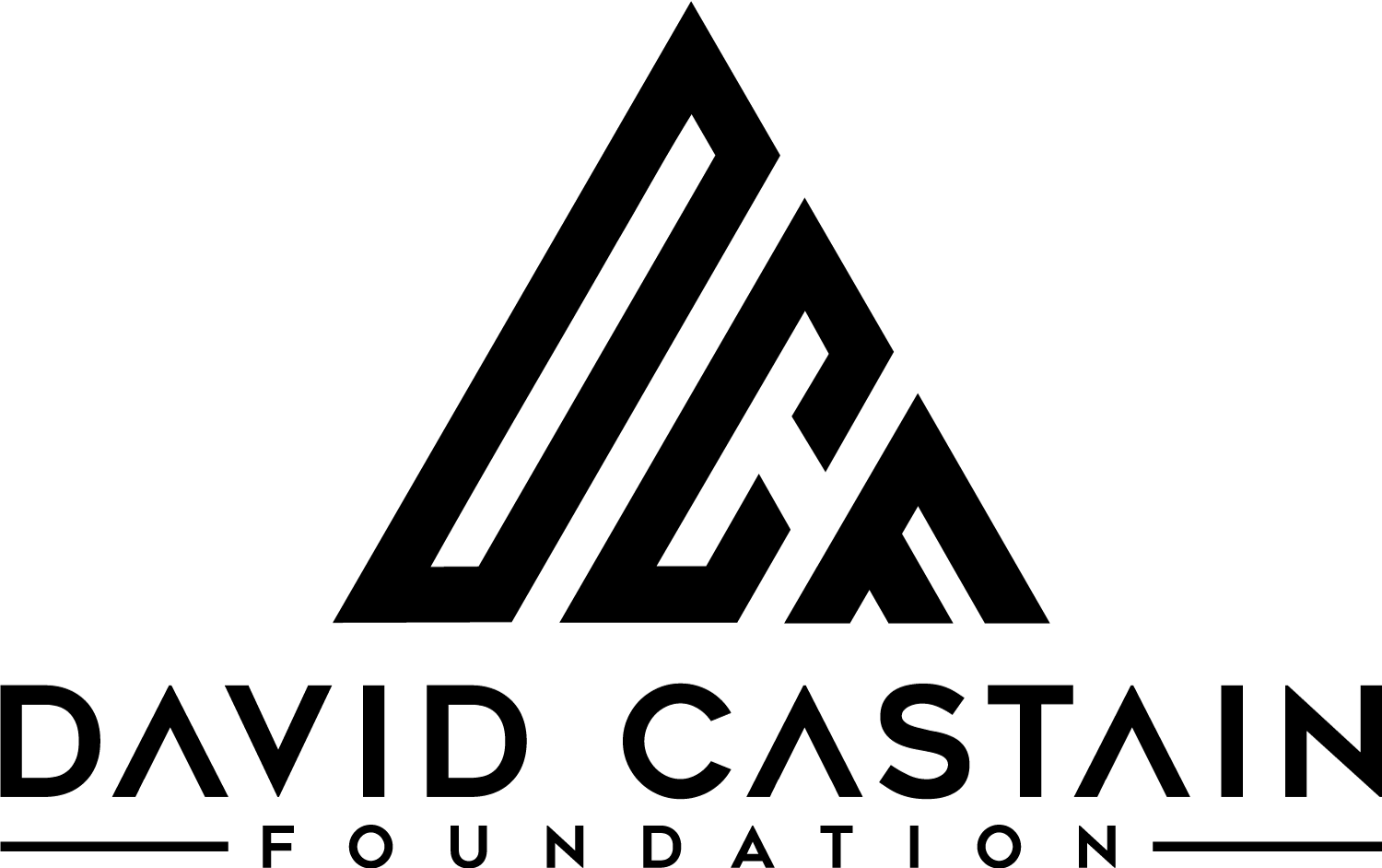 David Castain Foundation logo